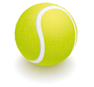 Read more about the article חדשות הטניס – סיכום עונת נשים – פרידה מהיגינס – ראפא #1