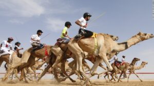 מעורב הופס (וכדורגל) ליום רביעי: "מל, תגיד לגולשים שלך שיתעסקו במרוצי גמלים" / מנחם לס