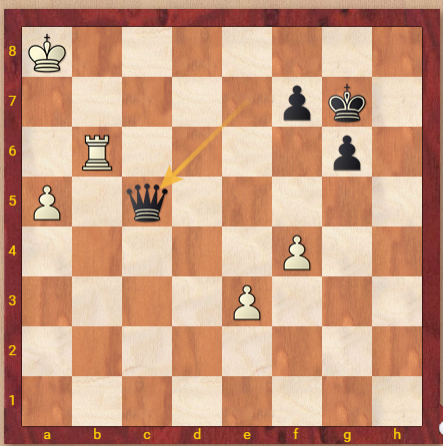 You are currently viewing שחמט – קרלסן זוכה בתואר העולמי בפעם ה – 5 ומתקרב לשיא/שחר אלוני