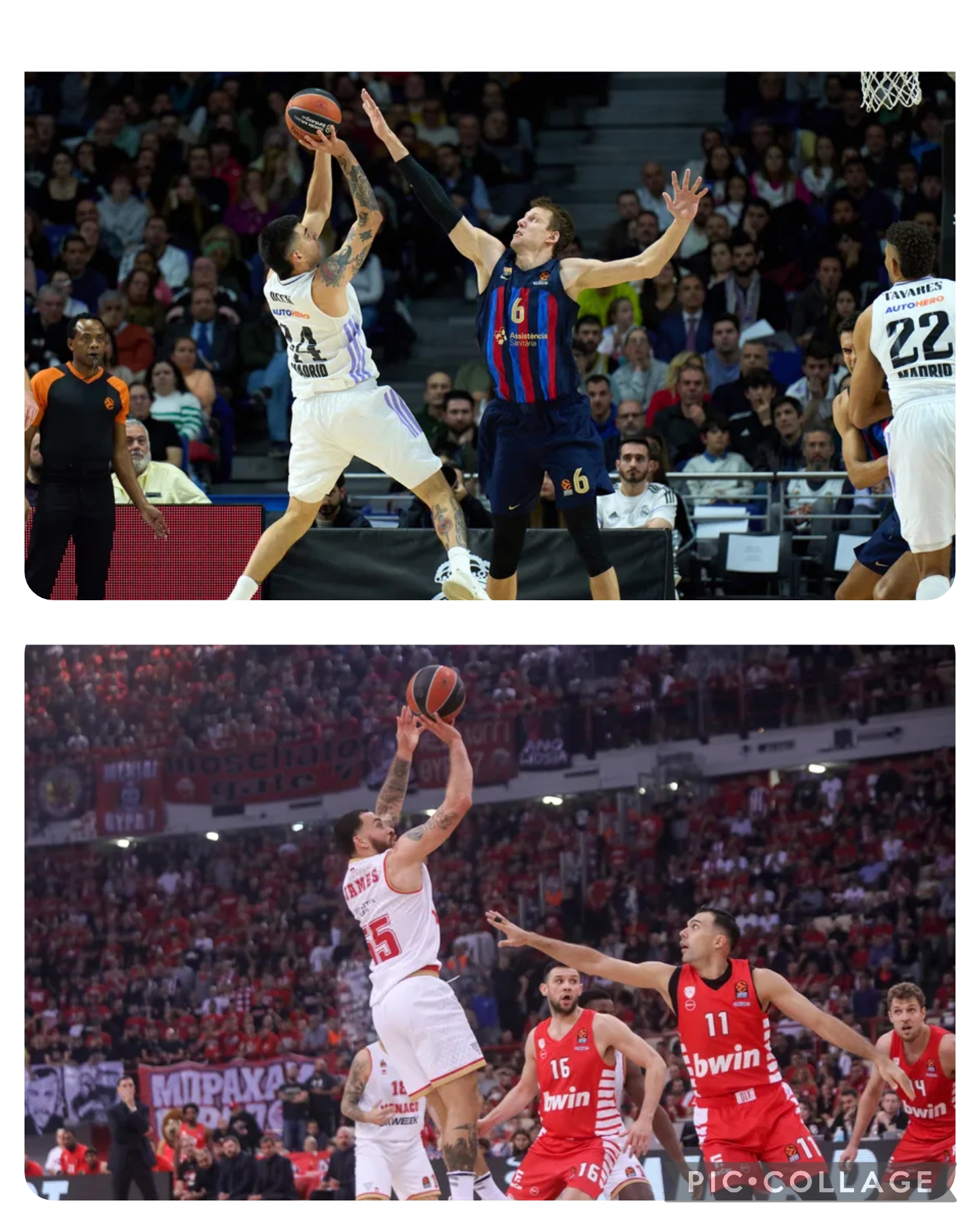 פיינל-פור היורוליג 2023 – המדריך המלא / אהרון שדה