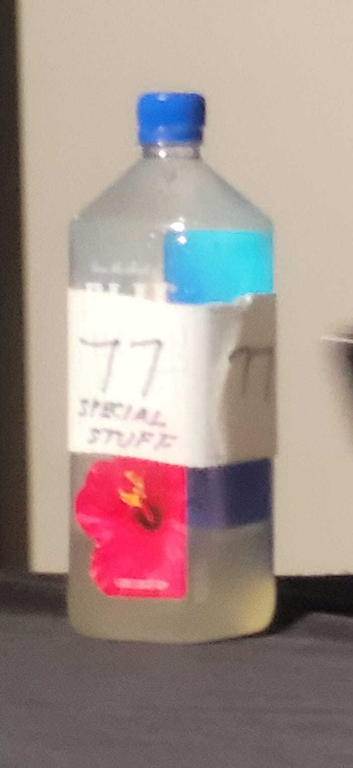 שבת המלקה /  קינגס-דאלאס, סיקור מהאולם, אלדד בן-משה