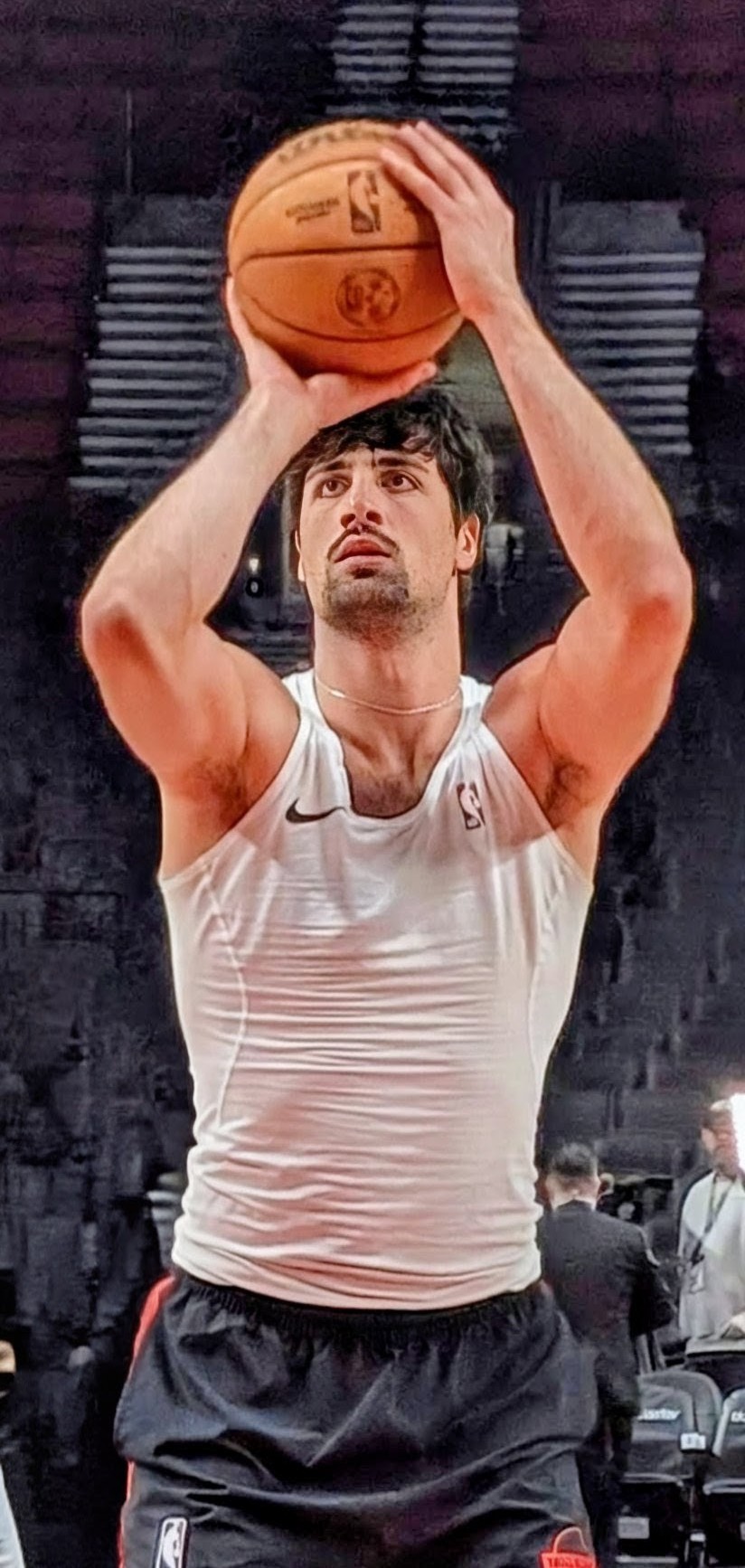 פורטלנדני-  שמונה ציוני מילה / א. מנור